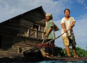 Pupuk Subsidi Sulit Didapat, Hasil Panen Kopi Anjlok Petani di Ulu Ogan Menjerit