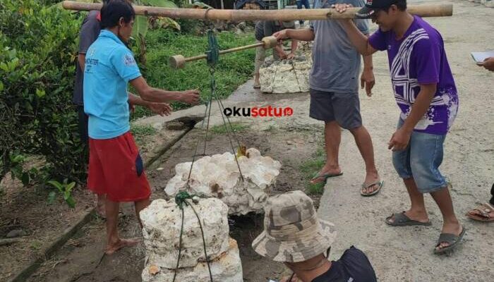 Harga Getah Karet di Kabupaten OKU Naik, Petani Senyum Kecut