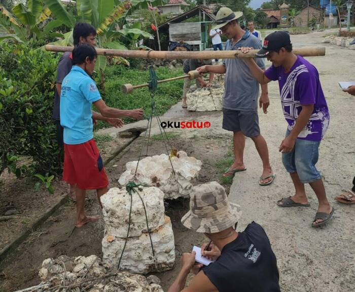 Harga Getah Karet di Kabupaten OKU