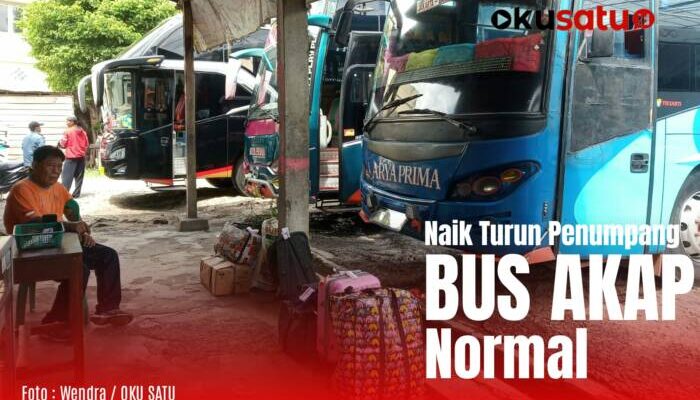 Penumpang Bus AKAP Normal, Paket Membanjiri