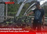 Maksimalkan Lahan Kantor Desa Pusar untuk Program Ketahanan Pangan