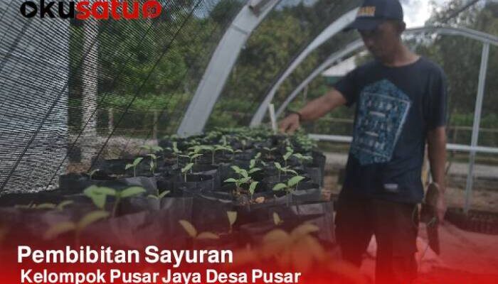 Maksimalkan Lahan Kantor Desa Pusar untuk Program Ketahanan Pangan