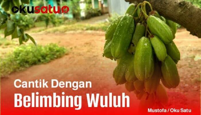 5 Khasiat Ampuh Belimbing Wuluh, Wajah Jadi Cantik, Jerawat Minggat Noda Hitam Hilang