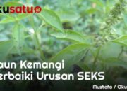 Manfaat Daun Kemangi Perbaiki Urusan S*ks