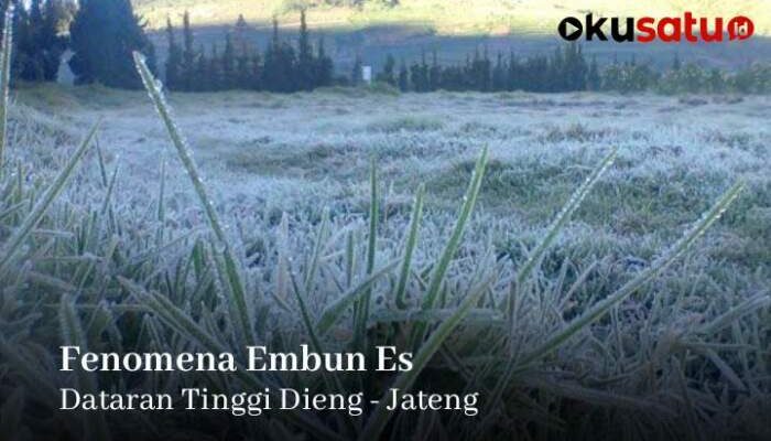 Embun Es Selimuti Dataran Tinggi Dieng, Bahaya Wisatawan Serbu Kawasan Itu