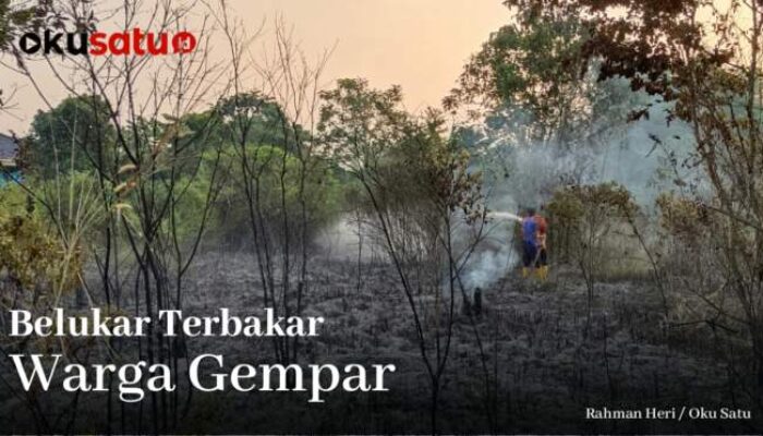 Belukar Terbakar, Warga Desa Tanjung Baru Gempar 