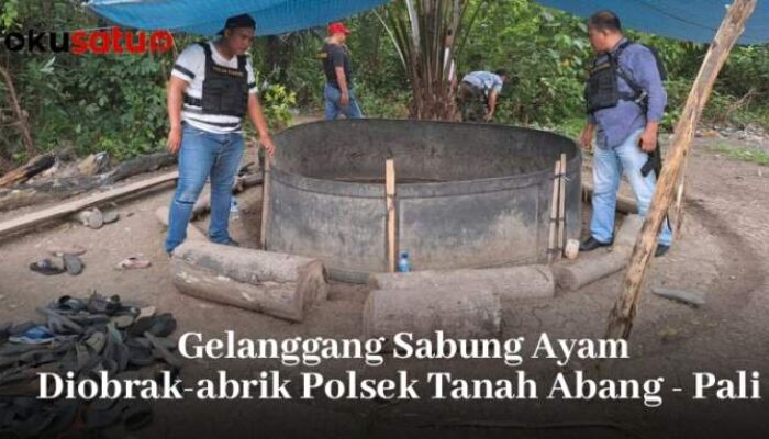 Gelanggang Sabung Ayam Diobrak-abrik Petugas, Penjudi Lari Terbirit-birit 14 Kendaraan Ditinggal Kabur