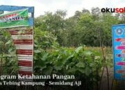 Program Ketahanan Pangan Desa Tebing Kampung, Sasar Tiga Target Sekaligus