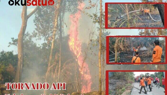 Tornado Api Muncul Saat Kebakaran Lahan Bukit Pelangi