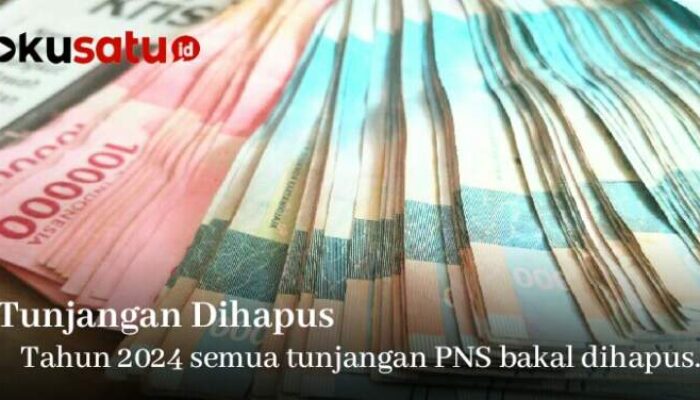 Tunjangan PNS Dihapus, ASN se Indonesia Bakal Nyengir