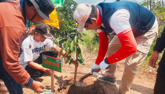 Peringati Hari Sumpah Pemuda, Bupati OKU Selatan Tanam Pohon Produktif di Kaki Gunung Seminung