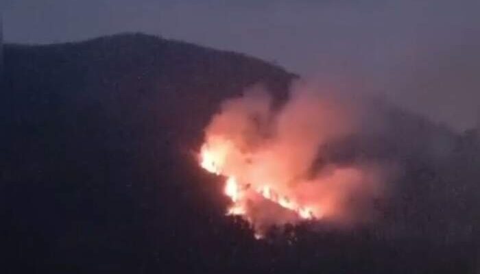 Gunung Lawu Terbakar, Mbok Yem Pemilik Warung di Puncak Lawu Tidak Dievakuasi, Begini Kondisinya