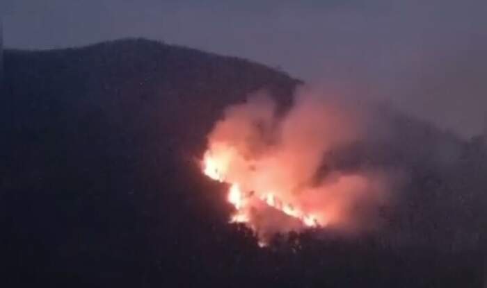 Gunung Lawu Terbakar Mbok Yem Pemilik Warung Di Puncak Lawu Tidak