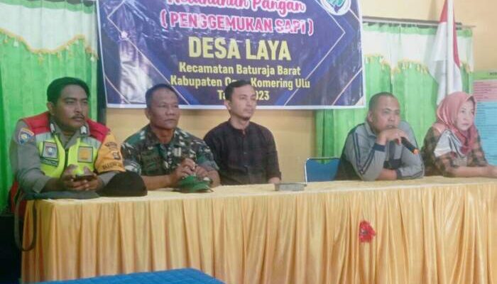 Poktan Desa Laya Rambah Penggemukan Sapi