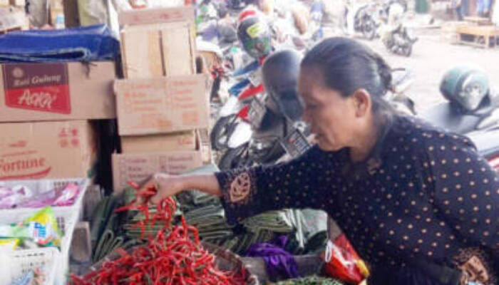 Bawang-bawangan “Nekat” Turun Harga, Ditengah Harga Sayur Naik