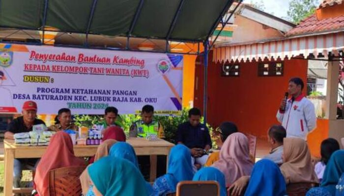 Desa Batu Raden Serahkan Bantuan 63 Ekor Kambing, Ini Dia Penerimanya