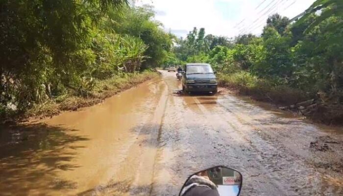 Banjir Surut, Awas Lumpur Tebal Tutupi Jalan Poros Desa Pusar