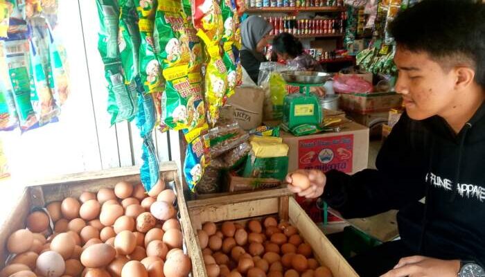 Harga Telur Dipastikan Tembus Rp 30 Ribu Perkg