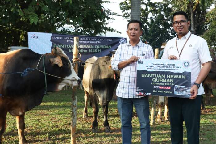 Lurah Batukuning Richi Sefransyah Kades Laya, Erlan Novri menerima sapi kurban yang diserahkan Senior Manager of Corporate Social Responsibility (CSR) SMBR Gili April Braja