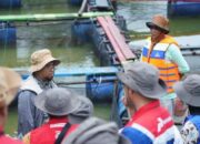 Pertamina Berikan Solusi Terpadu untuk Pemulihan Lahan dan Peningkatan Kesejahteraan Masyarakat melalui Program Lentera Talang