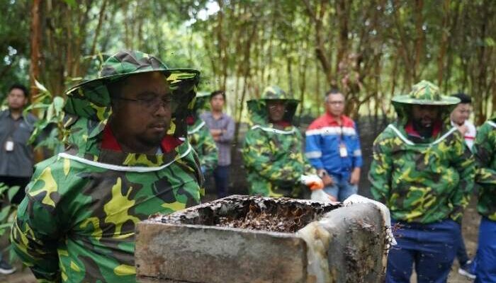 Implementasi Program TJSL Pertamina melalui Sinergi Ekonomi Lokal dan Pelestarian Lingkungan