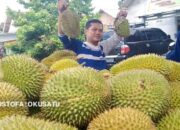 Buah Durian Sungguh Nikmat, Tapi Harus Tahu Efek Sampingnya, Bisa Bikin Mimisan