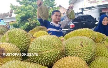 Buah Durian Sungguh Nikmat, Tapi Harus Tahu Efek Sampingnya, Bisa Bikin Mimisan