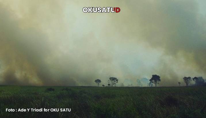 Kasus Karhutlah di Sumsel yang membuat bencana asap muncul. Foto : Ade Y Triadi for OKU Satu.