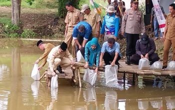 bupati OKU H Teddy Meilwansyah dan Ketua TP PKK OKU Hj Zwesty Karenia Teddy melepas bibit ikan di Desa Batumarta II.