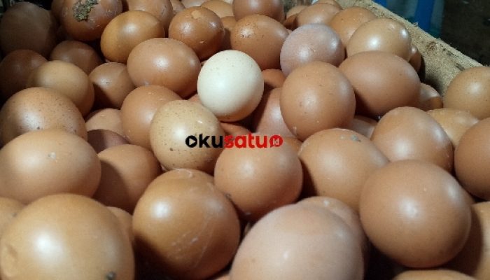 MBG Dituding Biang Kerok Lonjakan Harga Telur, Zulhas : Masih Stabil