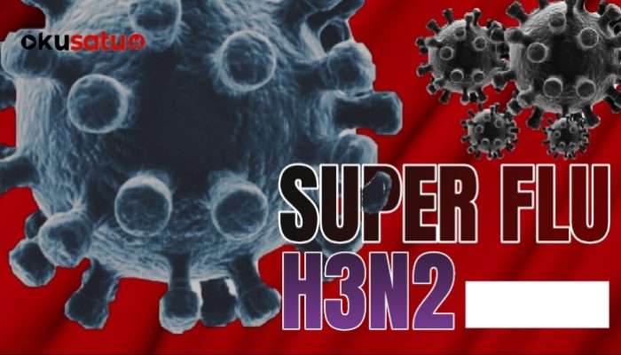 Influenza A  Muncul 62 Kasus, Dinkes Sumsel Buru-buru Surati Pemerintah Daerah