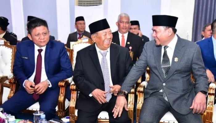 Ketua DPRD Provinsi Sumatera Selatan Andie Dinialdie Apresiasi Capaian Kabupaten OKU Selatan