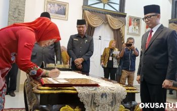 Kadin  PMD OKU Tetty Verawati Gas Poll Sambangi  Desa-desa