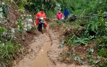 Longsor di Sungai Are, Jalan Amblas hingga Tertutup Material