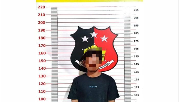 Satu Pencuri Sawit Tertangkap, Lima Pelaku Dìburu Polisi
