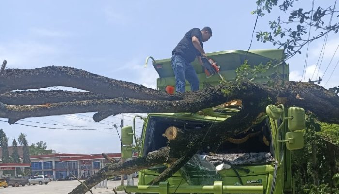 Satgas Bansor OKU Eksekusi Dahan Ambruk dì Jalinsum