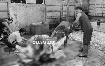 RPH Putri Jaya Lestari, Kualitas Daging Terjamin, Buruan Merapat !!!