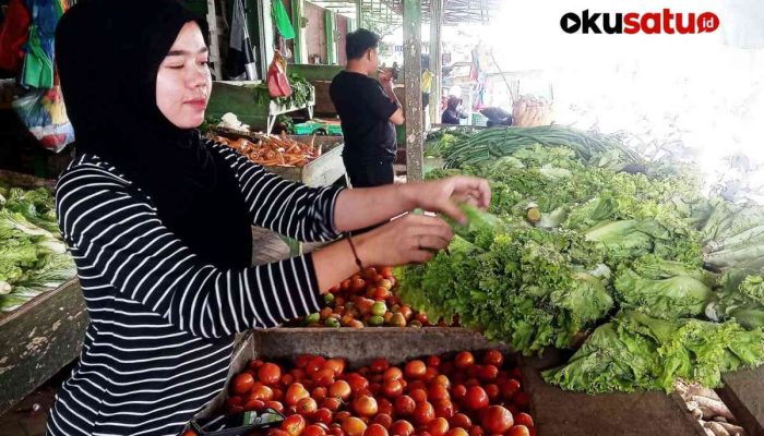 Selada di Baturaja Langka, Harga Meroket 2 Kali Lipat!