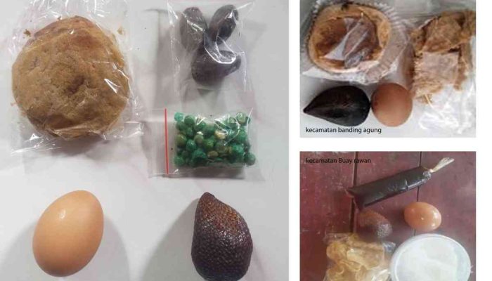 MBG di OKU Selatan Disorot, Warga Ungkap Isi Porsi MBG Dinilai Tak Layak