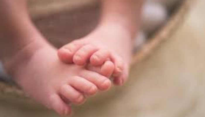 Jual Bayi Merah Rp 52 Juta, Si Bapak Durjana Digulung Polisi