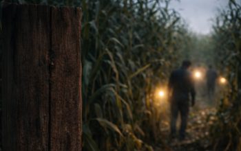 Dua Warga Kemelak Diduga Hilang di Hutan OMIBA, Asisten I Pesan Begini