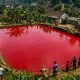 Air kolam berubah merah pekat di Pagar Alam setelah hujan deras