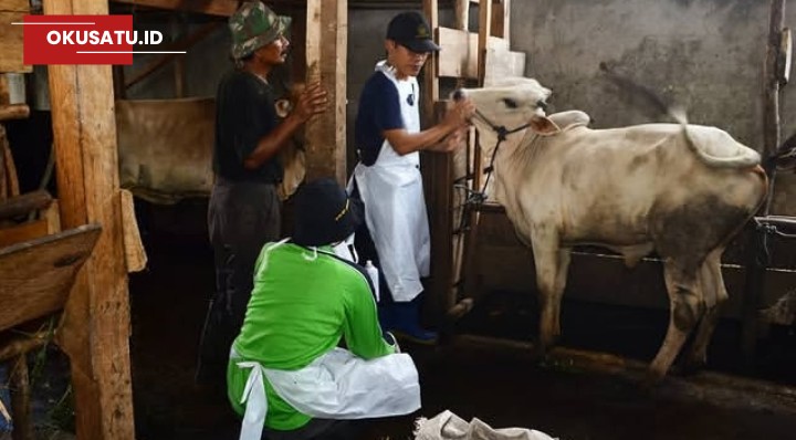 Dinas Ketahanan Pangan dan Peternakan Sumatera Selatan mewanti-wanti masyarakat dalam pembelian hewan kurban.