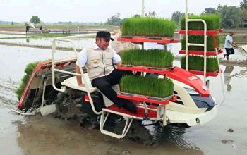 Sumsel Melejit! Jurus Cepat Tanam Padi Ala Herman Deru Bawa Daerah Ini Tembus 3 Besar Nasional