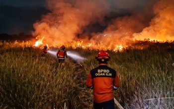 Karhutla membakar lahan kering di sekitar Tol Palindra Ogan Ilir dengan asap tebal