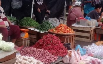 Pedagang cabai di pasar tradisional Sumsel saat harga cabai naik