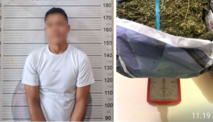 Keburu Tertangkap di Dalam Angkot, Ganja Kering 1 Kg Gagal Edar