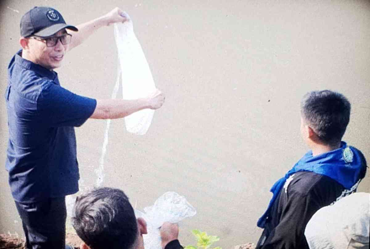 kepala DLH OKU Brigman melepas benih ikan ke sungai ogan. 