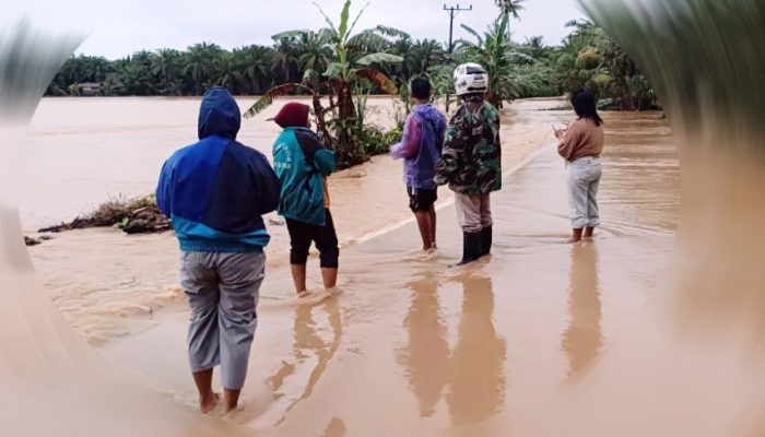 Banjir Besar Kepung Seluma! 835 KK Terdampak, Lima Kecamatan Lumpuh Diterjang Air