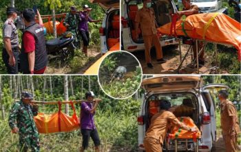 Proses evakuasi jasad lansia yang ditemukan tertelungkup di kebun karet miliknya di OKU setelah dilaporkan hilang.